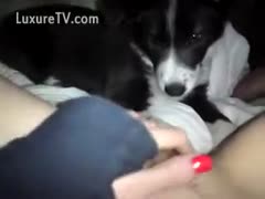 The needy dilettante lets her K9 eat her bald snatch to satisfy her craving for irrumation sex.